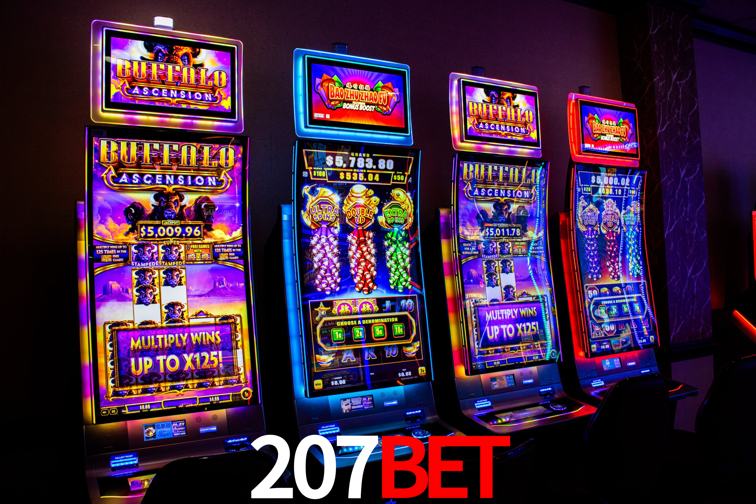 Platform Technology 207bet